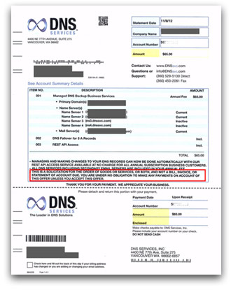 DNS Services invoice solicitation
