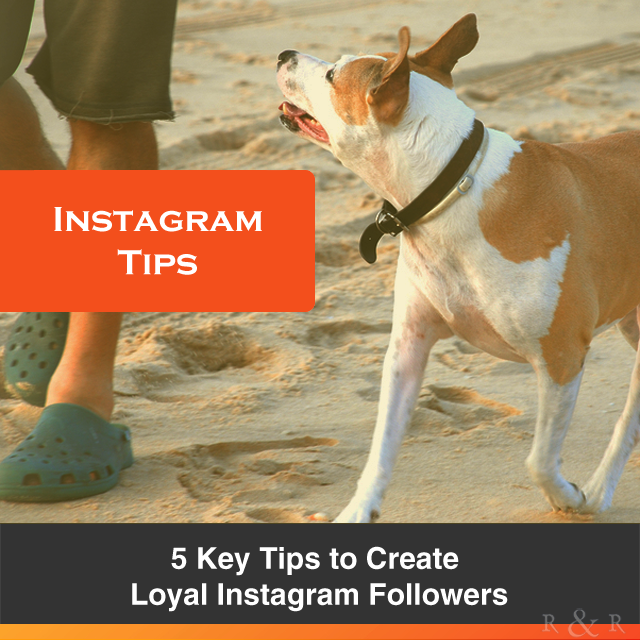 5 Key Tips to Create Loyal Instagram Followers