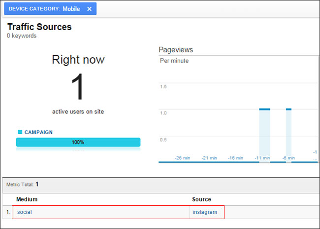 Step 4: Check Google Analytics 