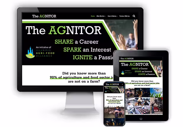 The AGNITOR portfolio