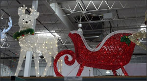 Deer and sleigh
