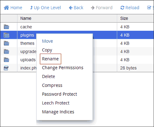 Step 4: Rename the plugins folder
