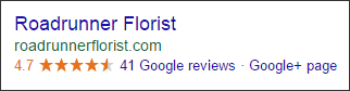 Example of starred reviews in Google search results