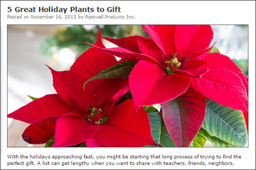 Holiday blog post