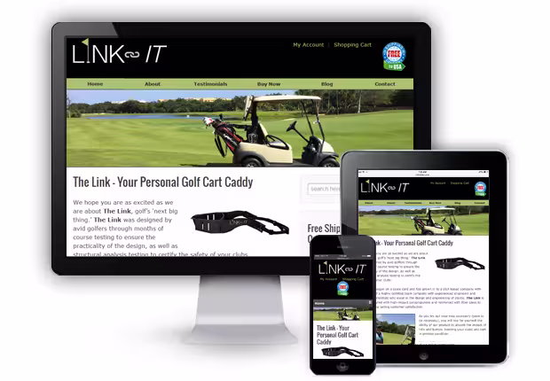 Link-it Golf portfolio