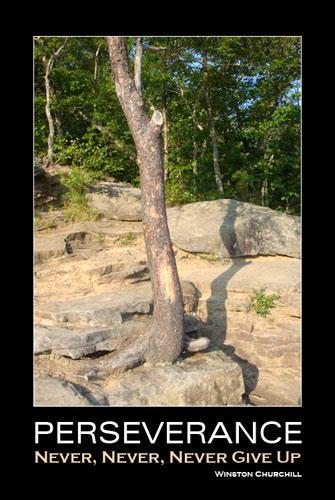 Perseverance photos