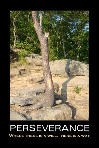 Perseverance photos
