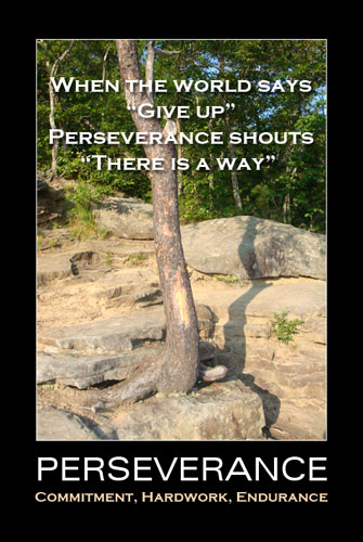 Perseverance photos